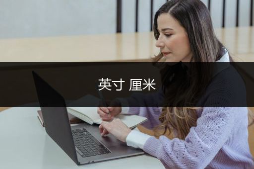 英寸 厘米